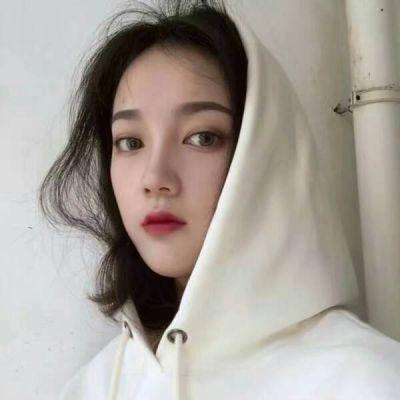 萌宝卡车挖掘机最新版下载