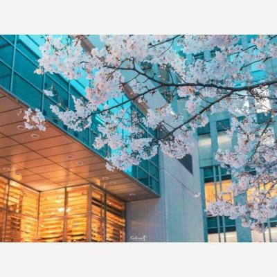 非人学园虫虫助手版下载