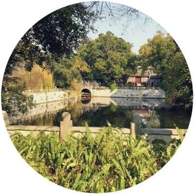 霸沙ol官方版下载